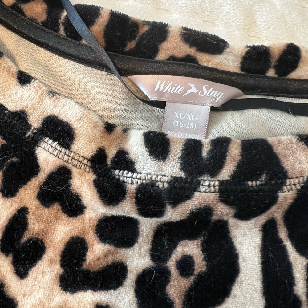 Leopard 🐆 - Picture 4 of 5